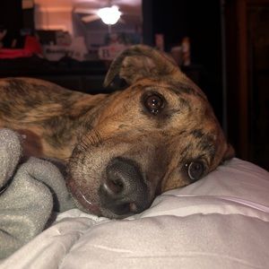 Meet your Posher, Marissa